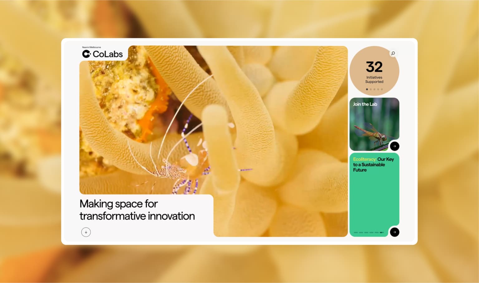 Featured image for Colabs